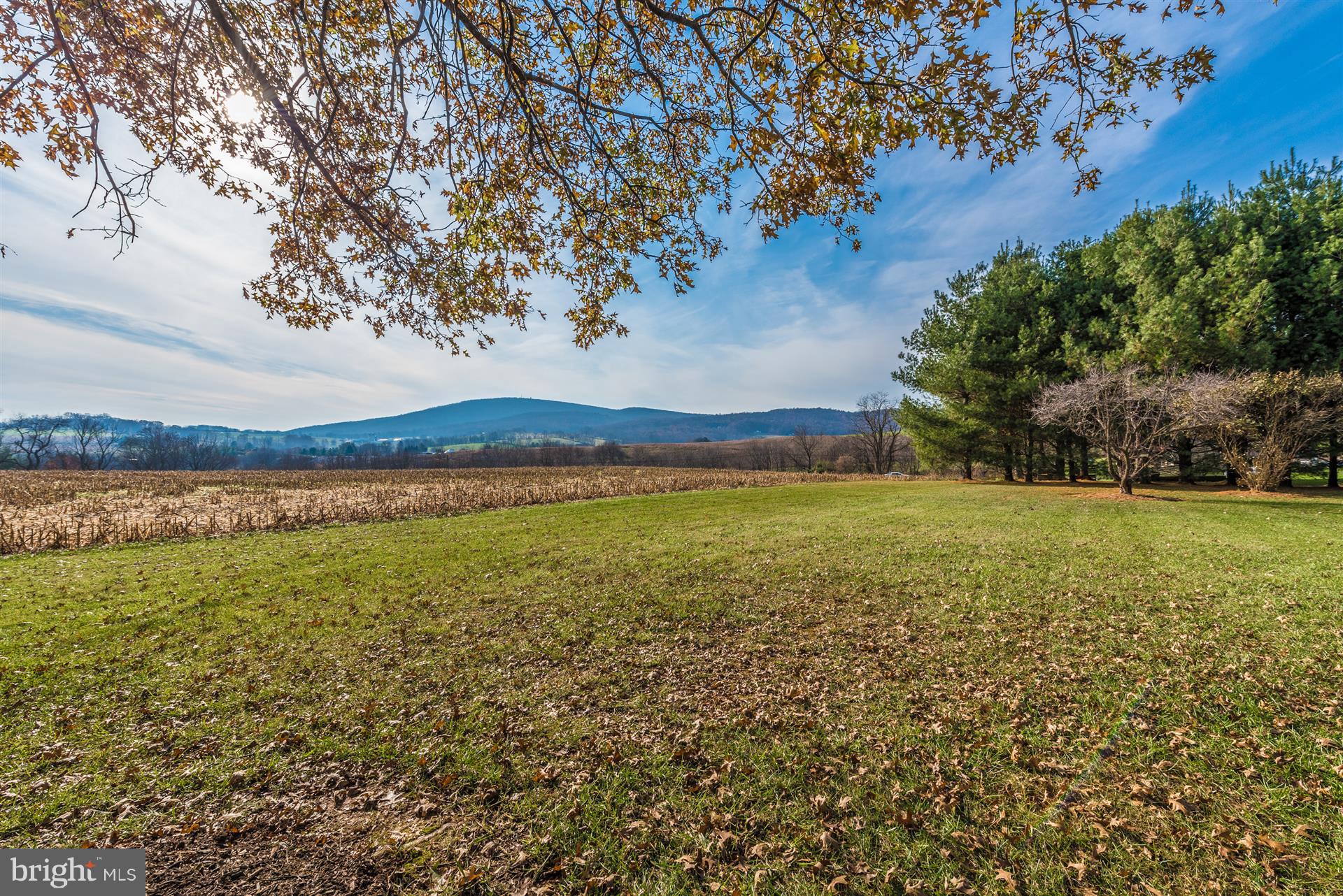 8731 Mt Tabor Road Middletown, MD 21769 - Photo 59 of 88