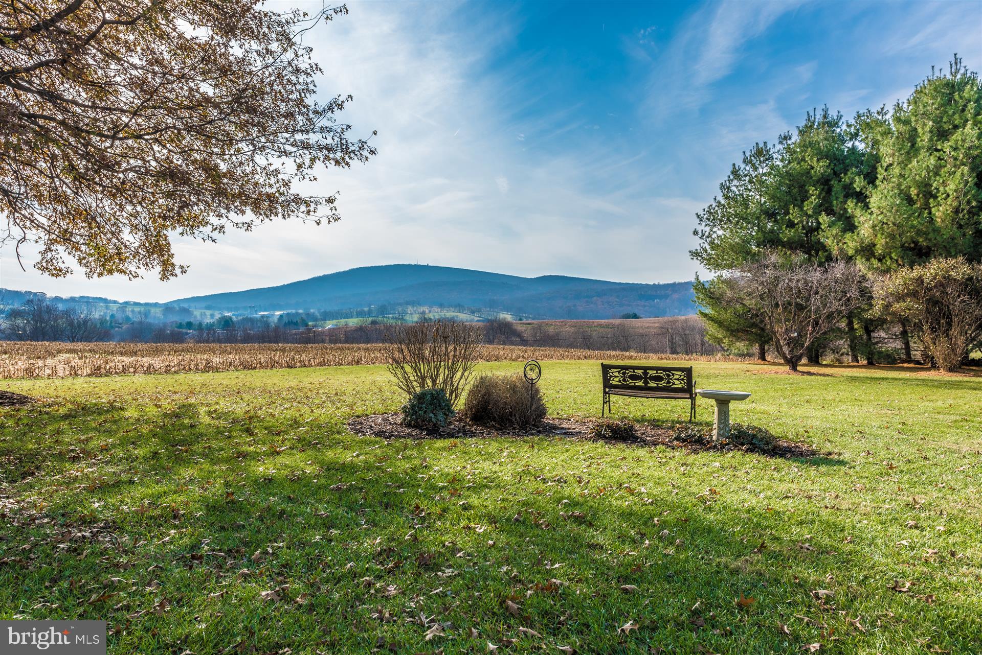 8731 Mt Tabor Road Middletown, MD 21769 - Photo 7 of 88