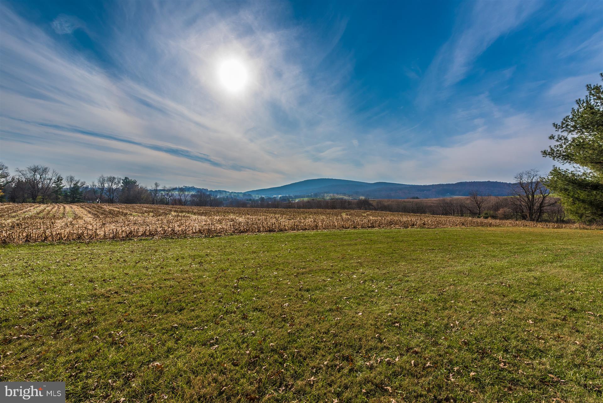 8731 Mt Tabor Road Middletown, MD 21769 - Photo 61 of 88