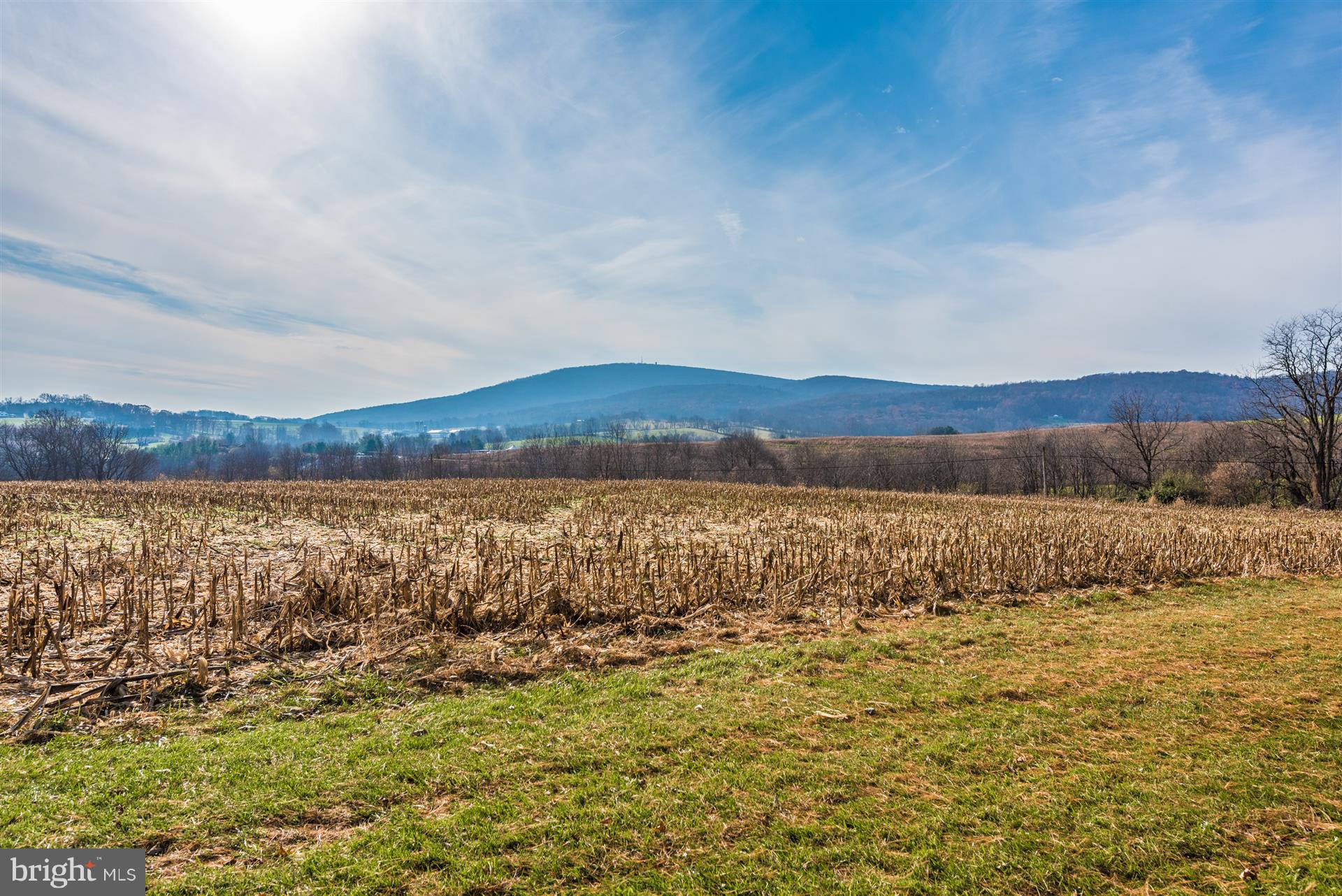 8731 Mt Tabor Road Middletown, MD 21769 - Photo 64 of 88