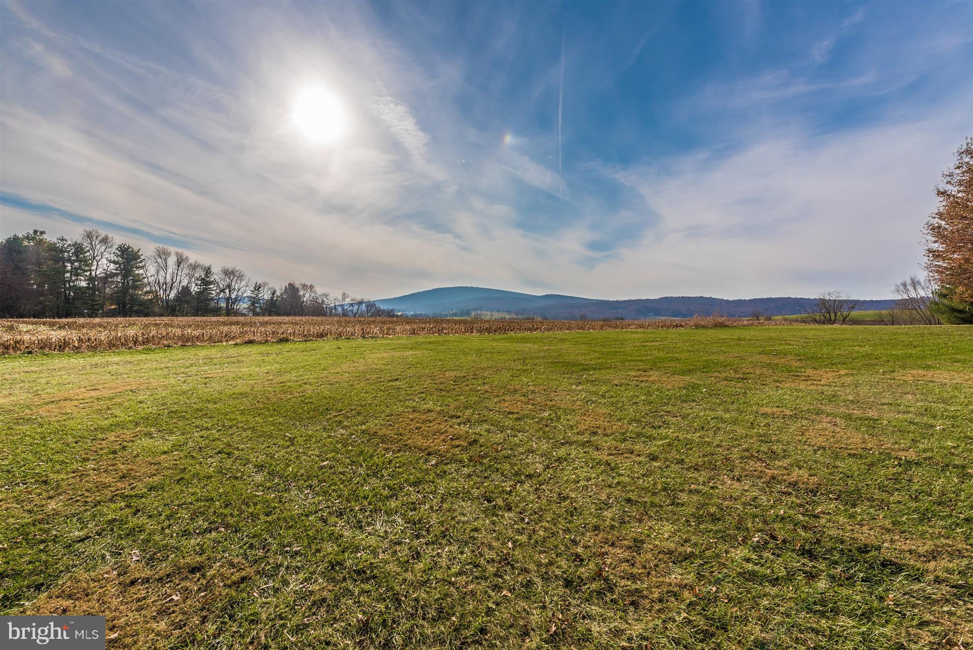 8731 Mt Tabor Road Middletown, MD 21769 - Photo 74 of 88