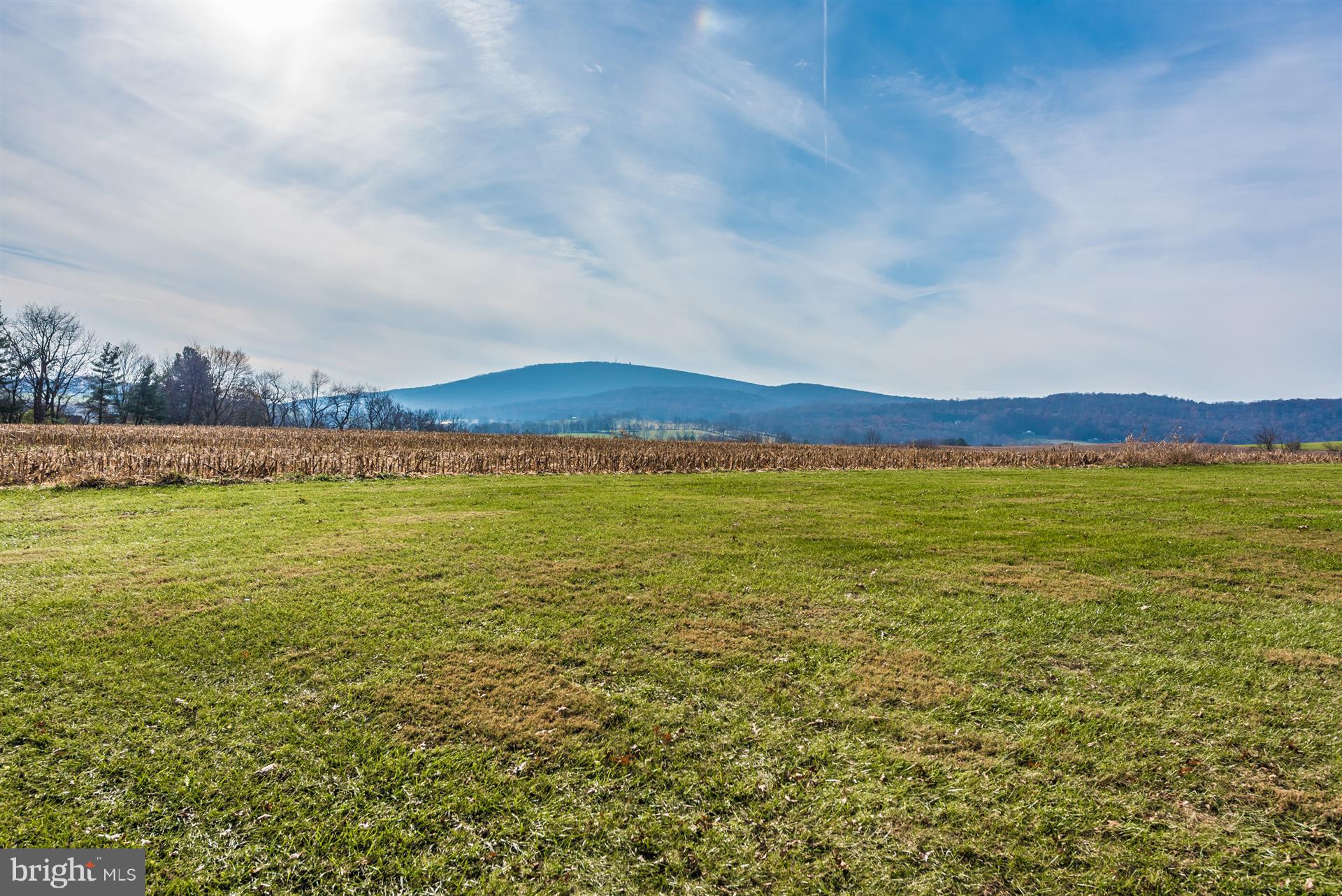 8731 Mt Tabor Road Middletown, MD 21769 - Photo 75 of 88