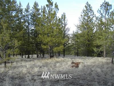 352829 Tedrow Trail Riverside, WA 98849 - Photo 1 of 1 Gallery Image 1