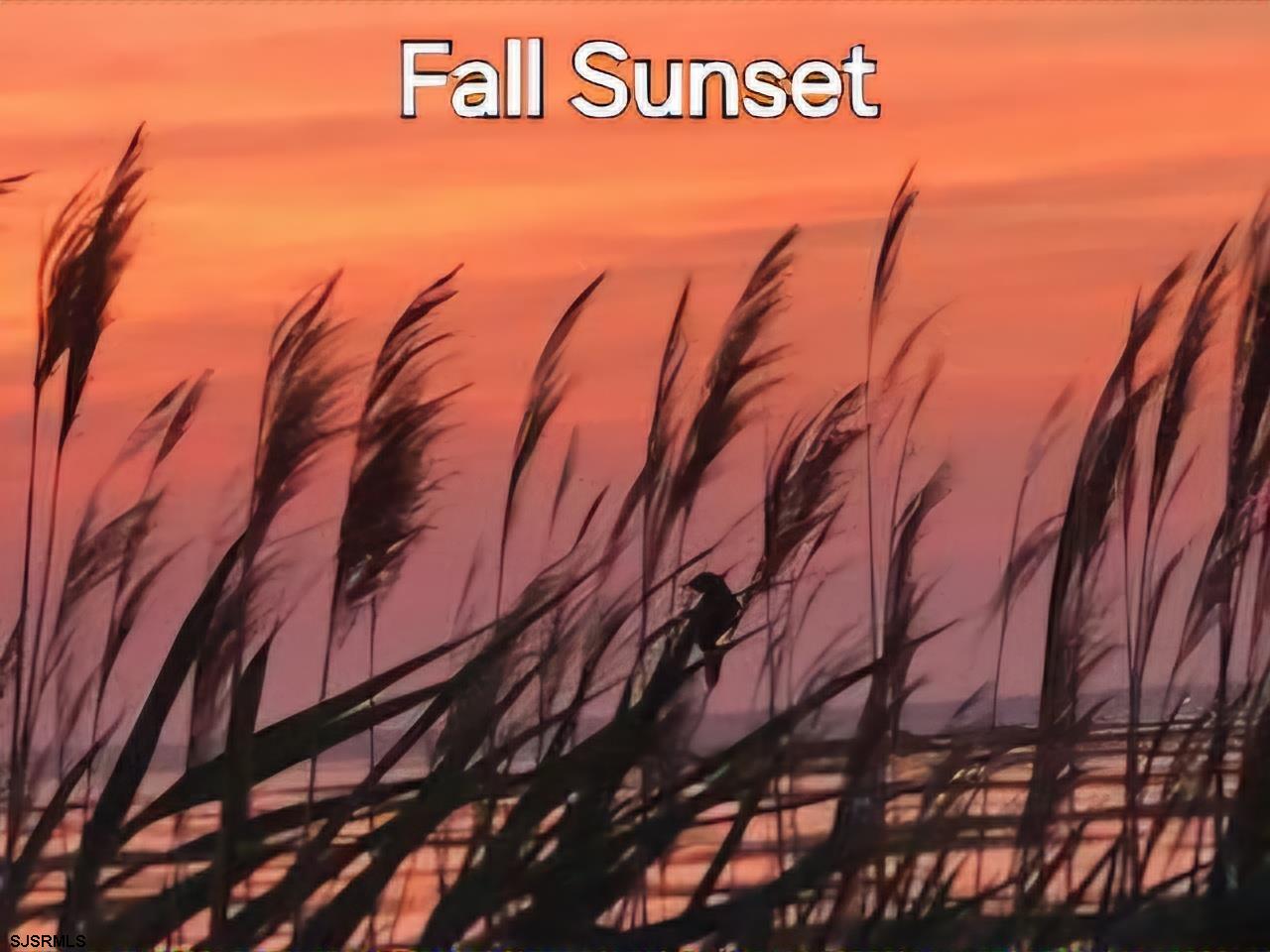 4205 Atlantic Brigantine Boulevard Brigantine, NJ 08203 - Photo 26 of 58 a view of a street with a building in the background
