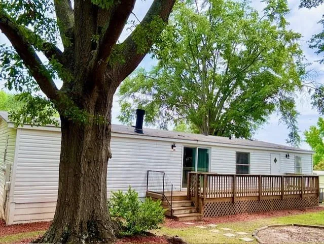 a view of a backyard with a large tree