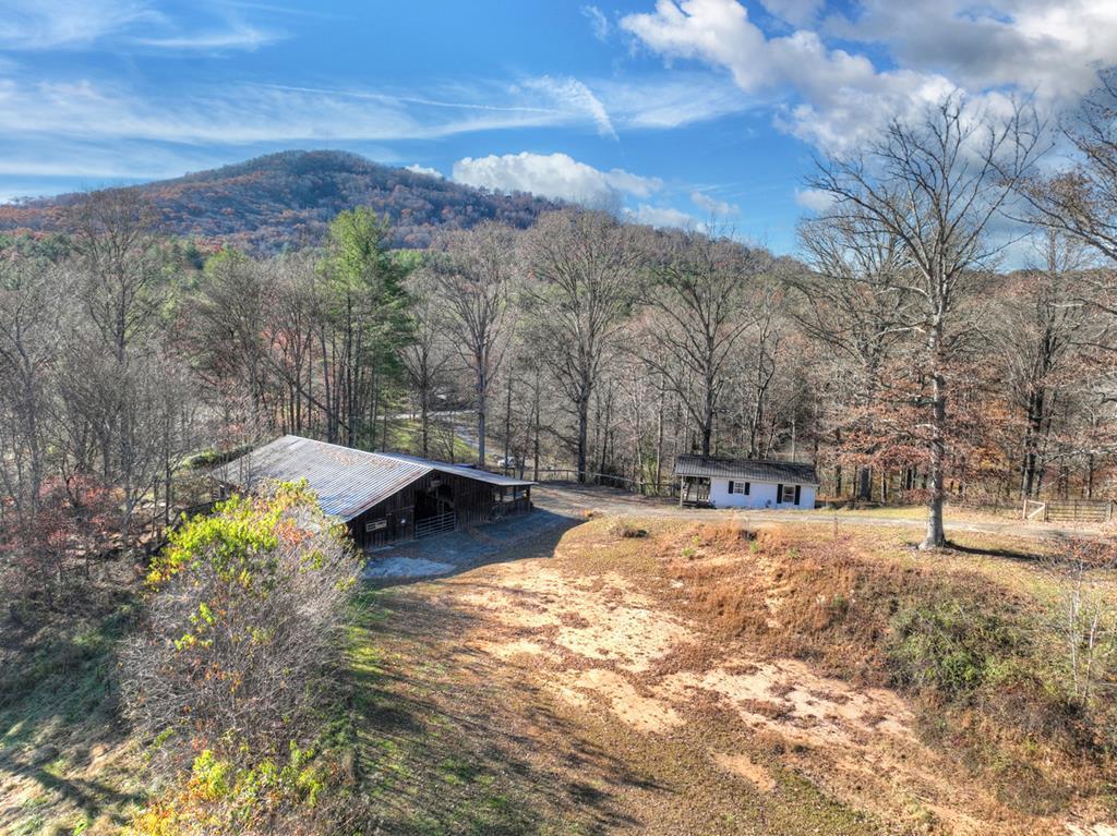 5491 Hardscrabble Road Mineral Bluff, GA 30559 - Photo 3 of 53 Gallery Image 3