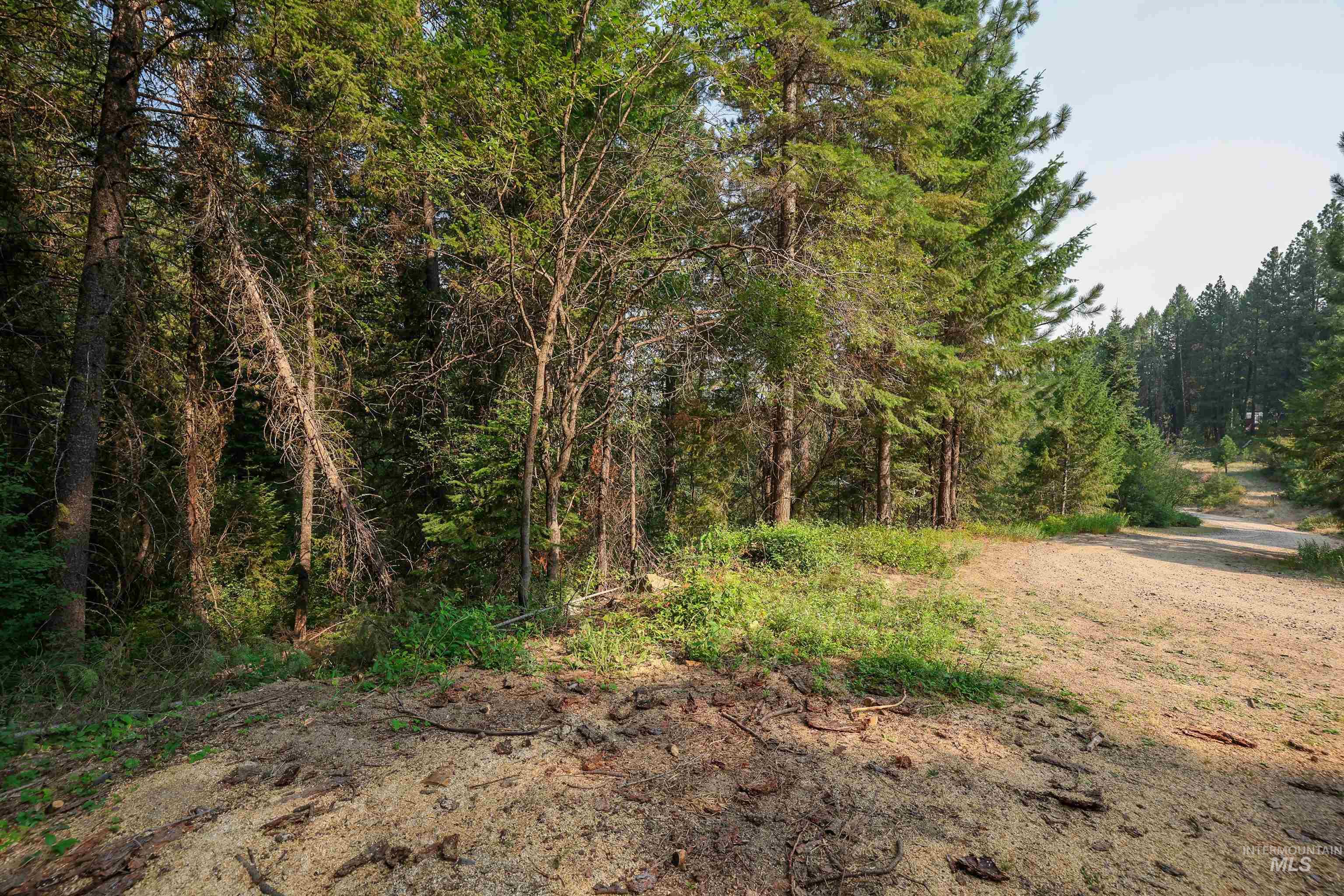 515 Collier View Road Cascade, ID 83611 - Photo 1 of 9 Gallery Image 1