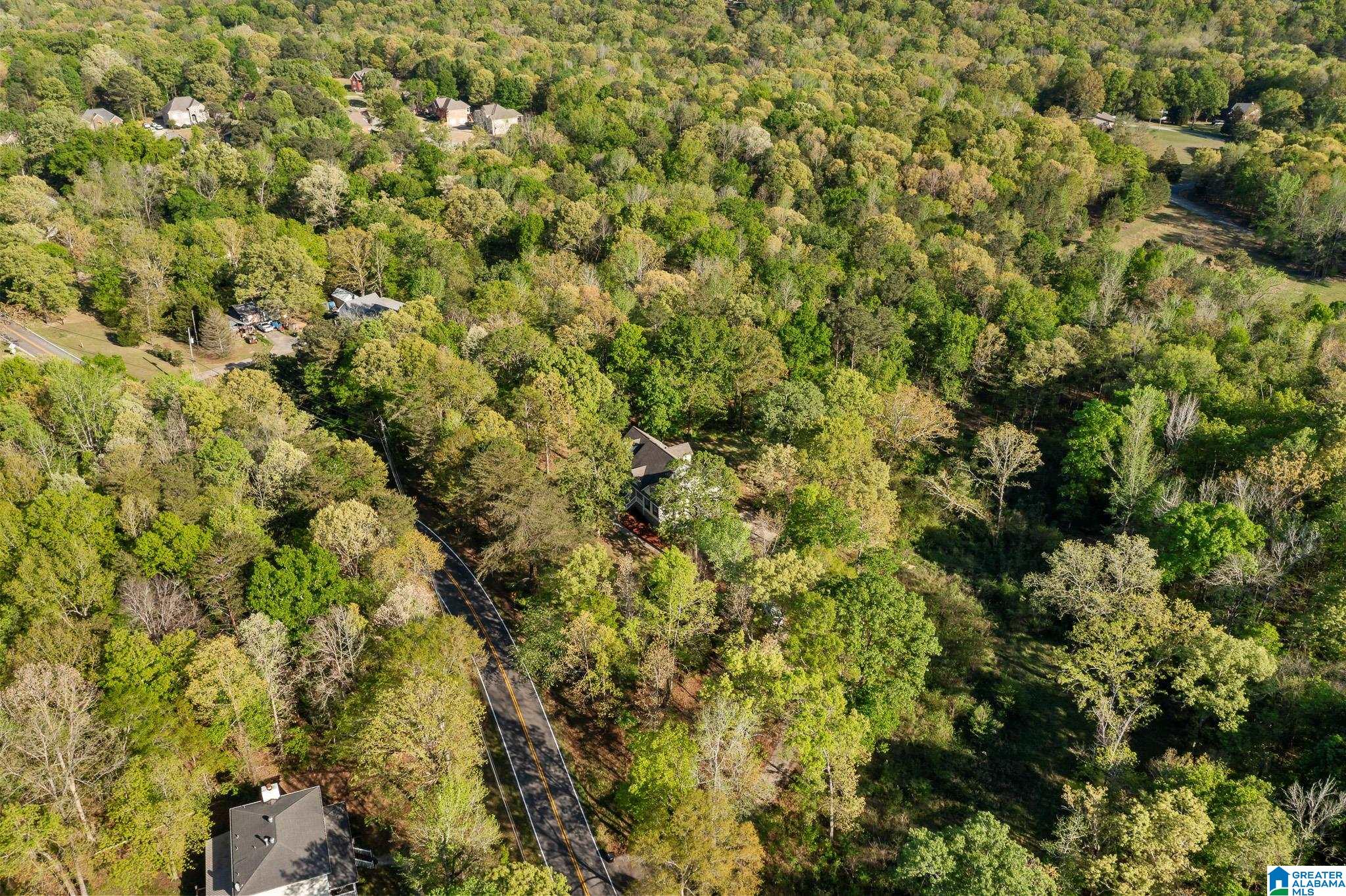 6050 Coleman Lake Road McCalla, AL 35111 - Photo 46 of 54