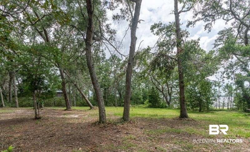 10970 County Road 99 Lillian, AL 36549 - Photo 12 of 38