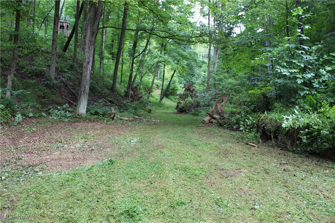 Slaughter Hill Road Cambridge, OH 43725 - Photo 2 of 8 View of yard