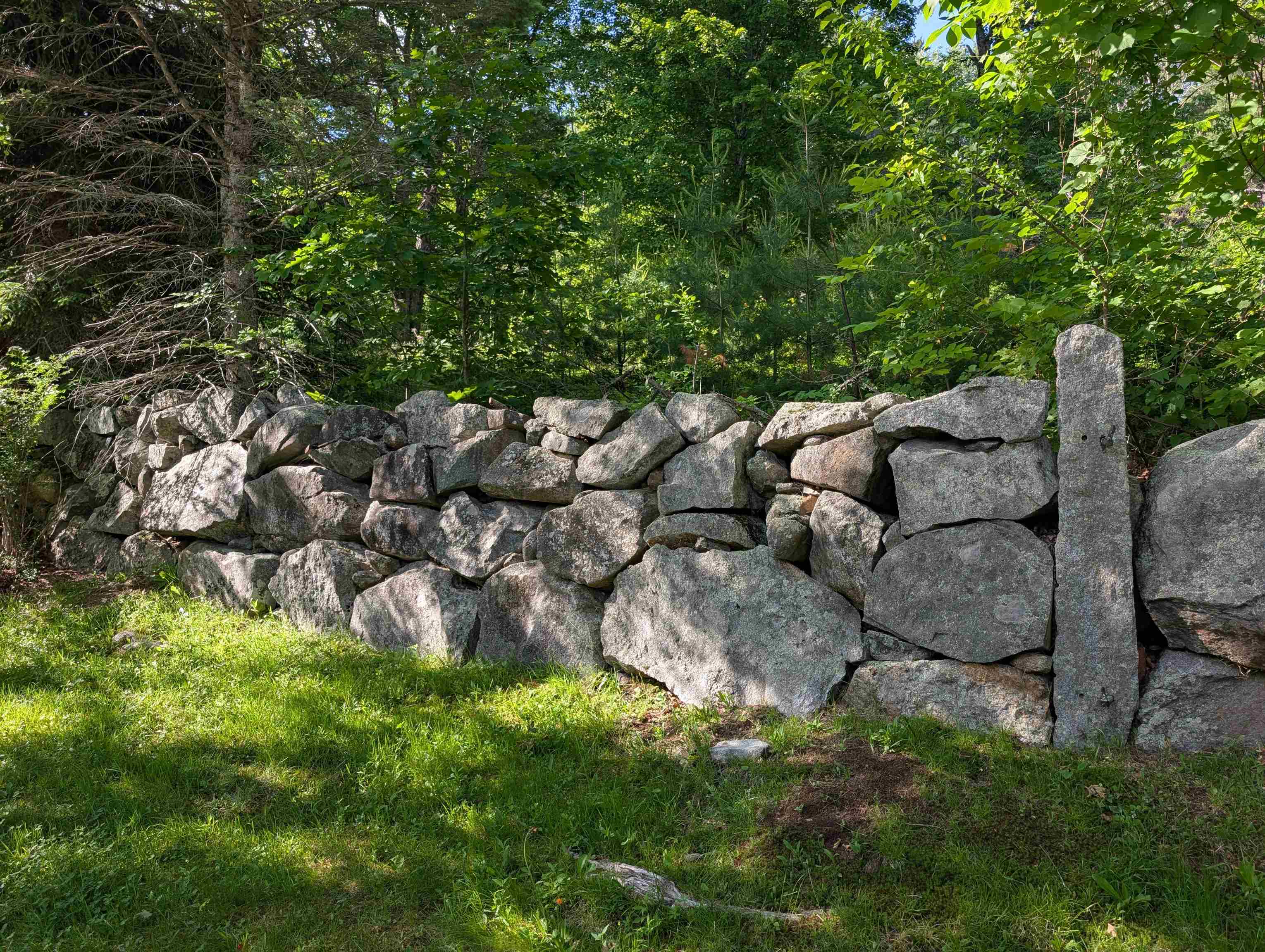 163 Maple Ridge Road Sandwich, NH 03259 - Photo 18 of 59