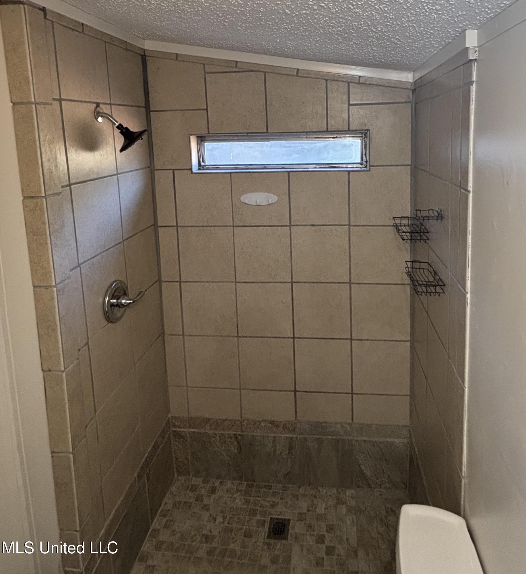 24160 Oak Ridge Drive Pass Christian, MS 39571 - Photo 16 of 23 walk in shower