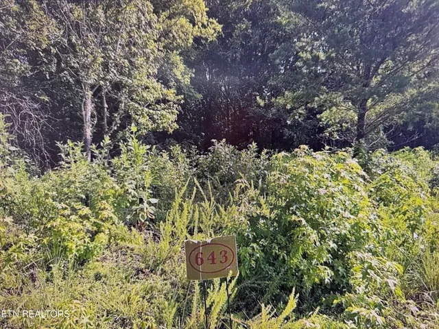 $29,900 | 204 Majestic View Drive, Rockwood, TN 37854