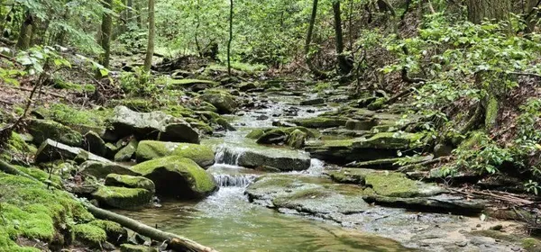 $99,000 | 0 Oak Leaf Lane, Dunlap, TN 37327
