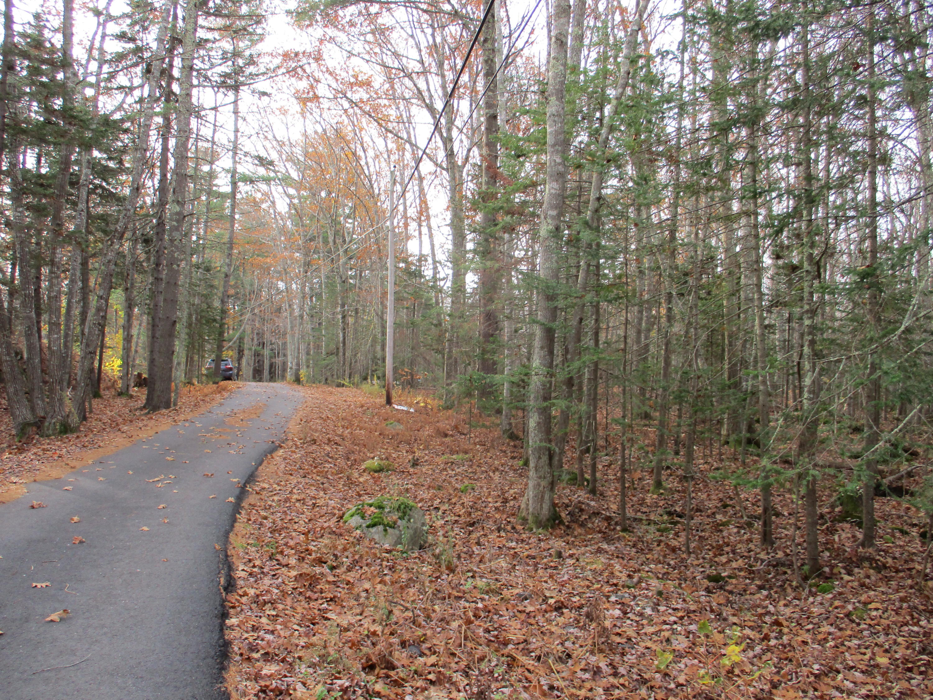 Lot 16 Roxmont Road Rockport, ME 04856 - Photo 10 of 10 IMG_1208