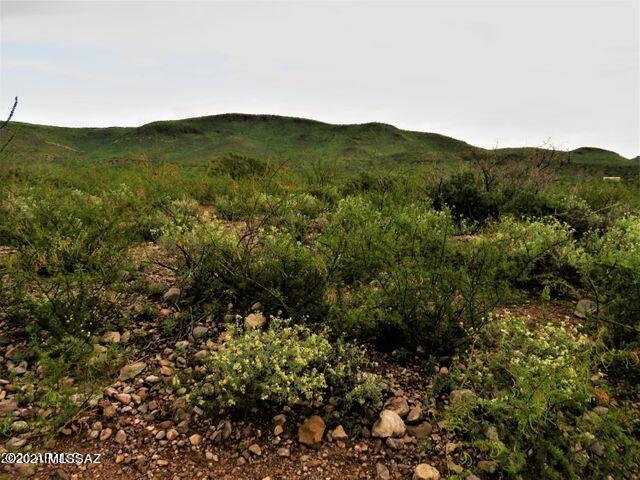 40.36 Acres Douglas, AZ 85607 - Photo 8 of 16 Gallery Image 8