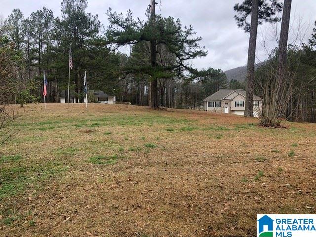 265 Country Road Warrior, AL 35180 - Photo 19 of 24