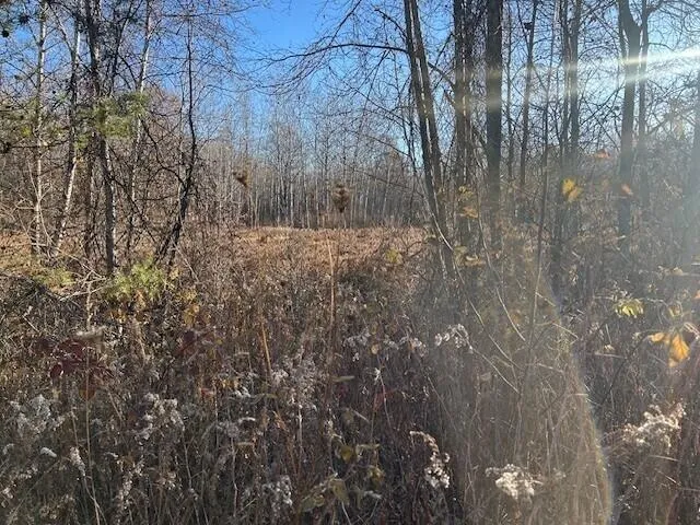 $197,900 | 1660 North Bard Road, Gladwin, MI 48624