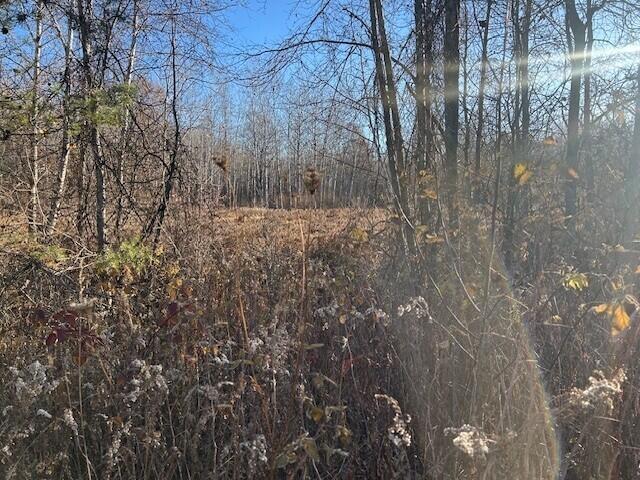 1660 North Bard Road Gladwin, MI 48624 - Photo 8 of 32 mcc2