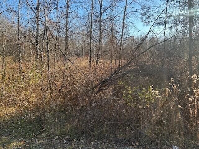 1660 North Bard Road Gladwin, MI 48624 - Photo 10 of 32 mcc4