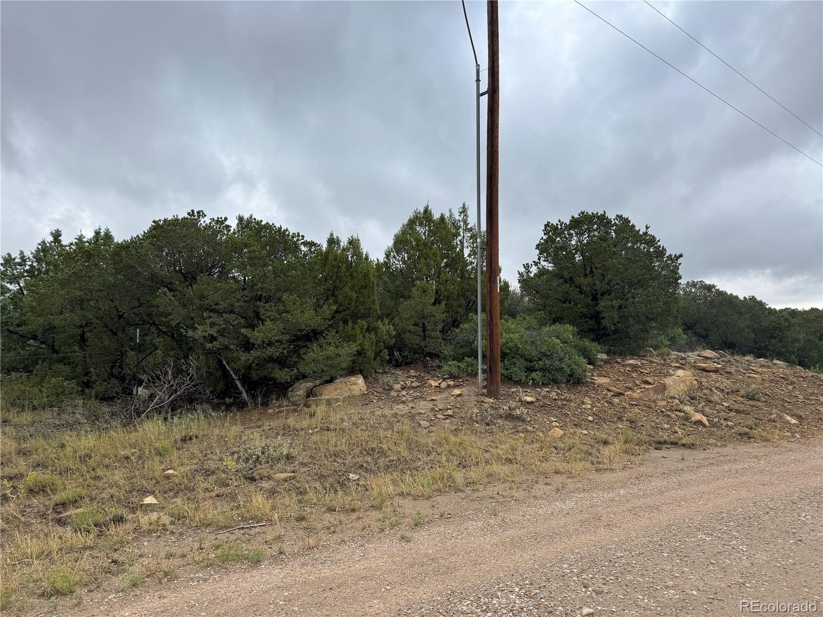 Reins Road Walsenburg, CO 81089 - Photo 11 of 12