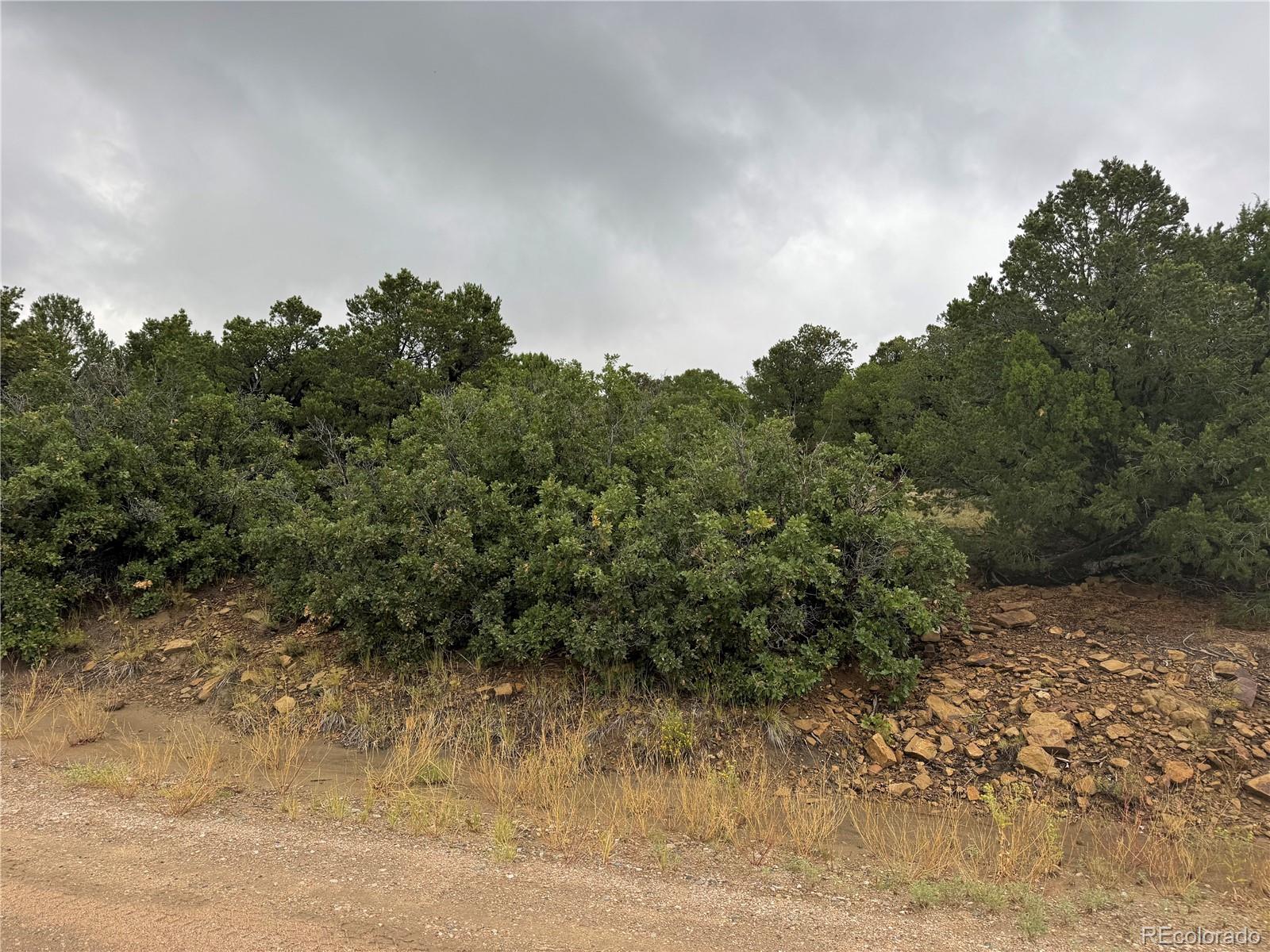 Reins Road Walsenburg, CO 81089 - Photo 2 of 12