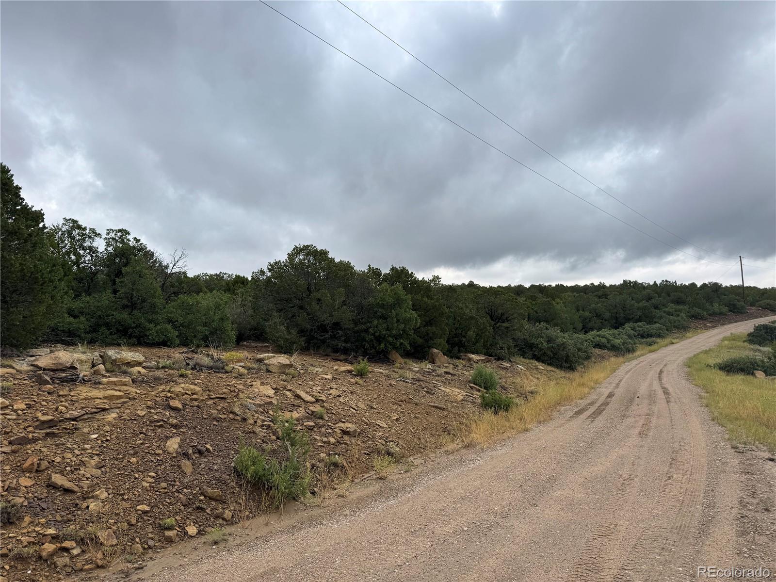 Reins Road Walsenburg, CO 81089 - Photo 5 of 12