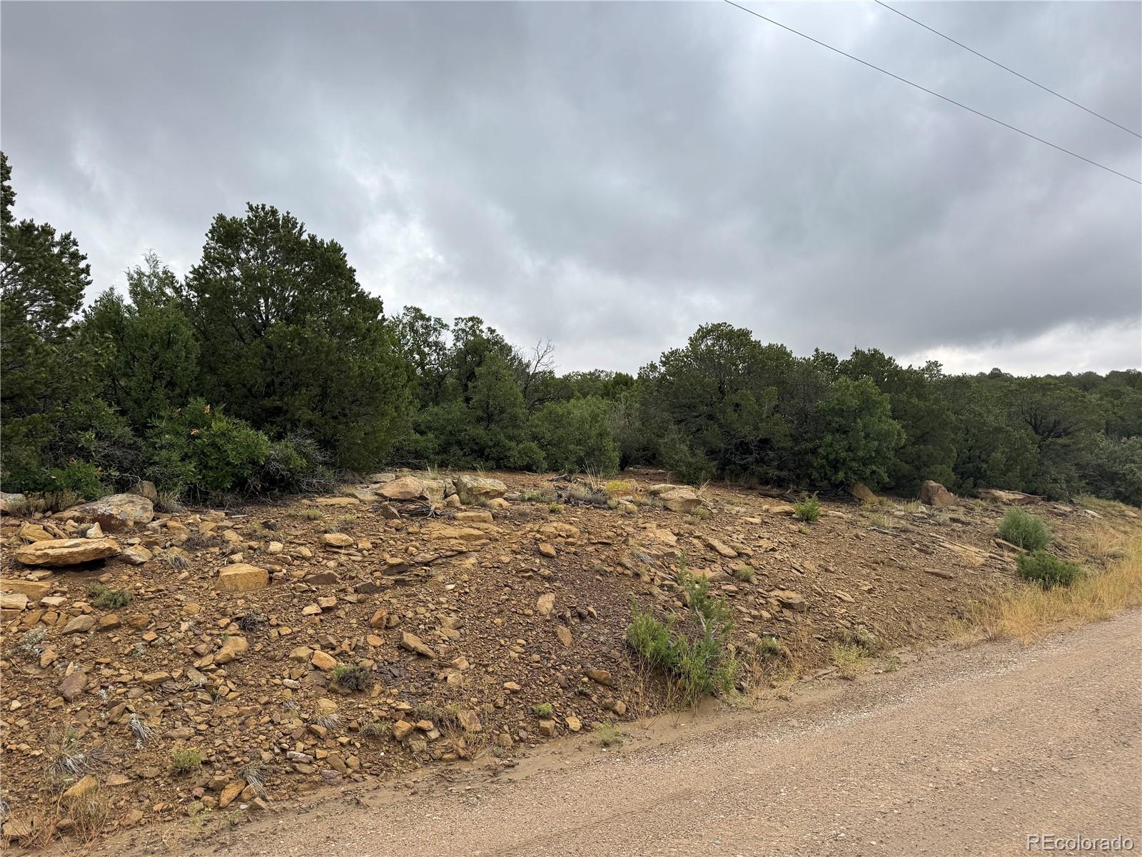 Reins Road Walsenburg, CO 81089 - Photo 6 of 12