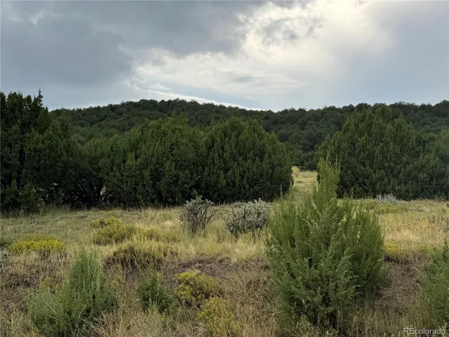 $72,000 | Reins Road, Walsenburg, CO 81089