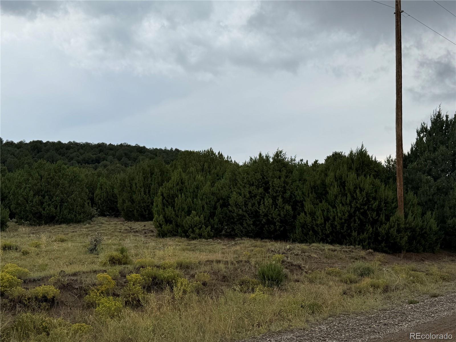 Reins Road Walsenburg, CO 81089 - Photo 8 of 12