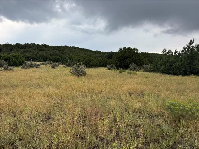 $72,000 | Reins Road, Walsenburg, CO 81089