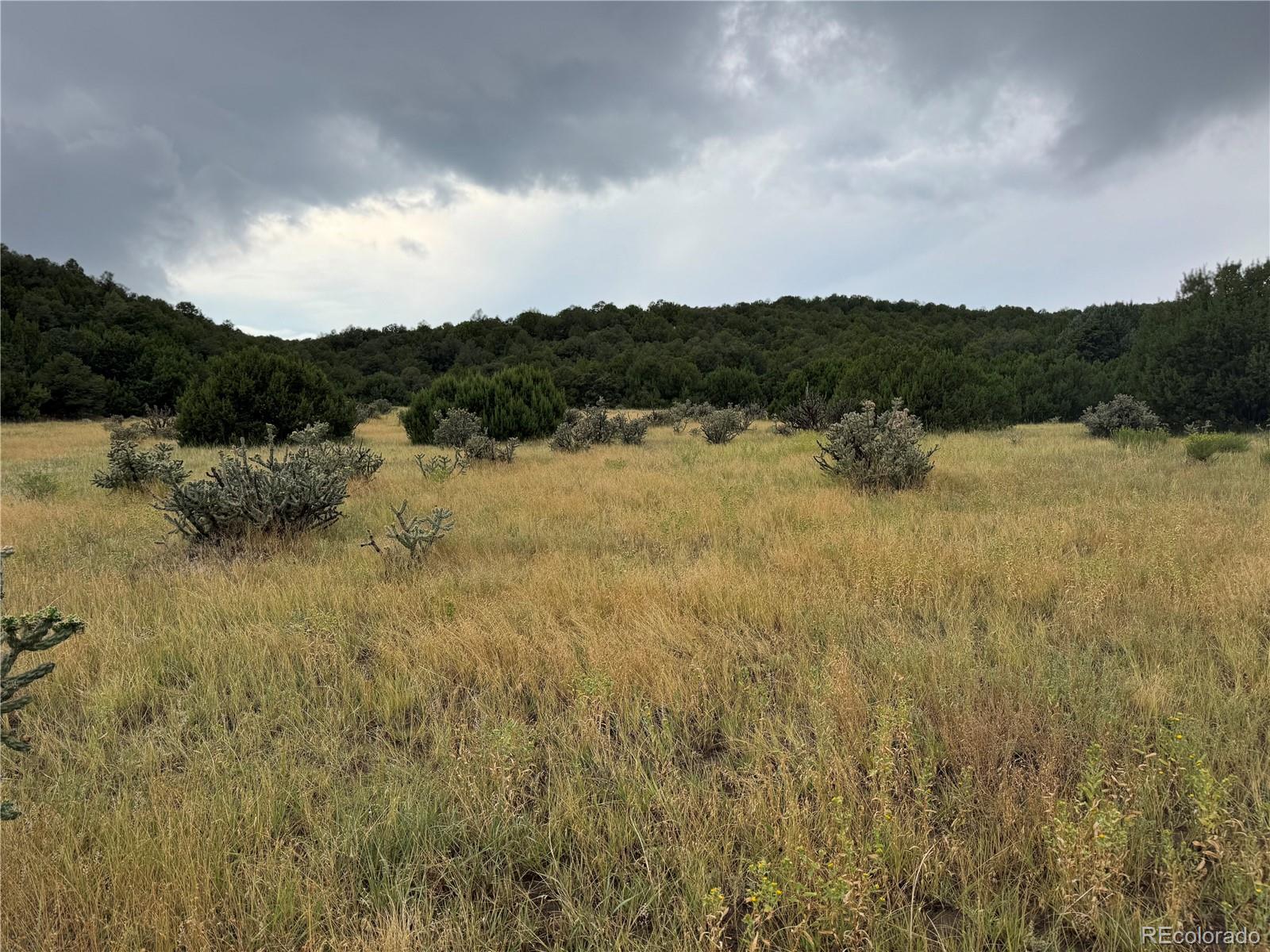 Reins Road Walsenburg, CO 81089 - Photo 10 of 12