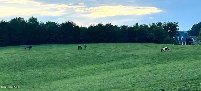 $825,000 | 21876 East Coast Tellico Parkway, Greenback, TN 37742