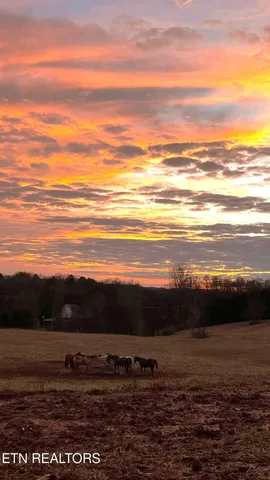 $825,000 | 21876 East Coast Tellico Parkway, Greenback, TN 37742