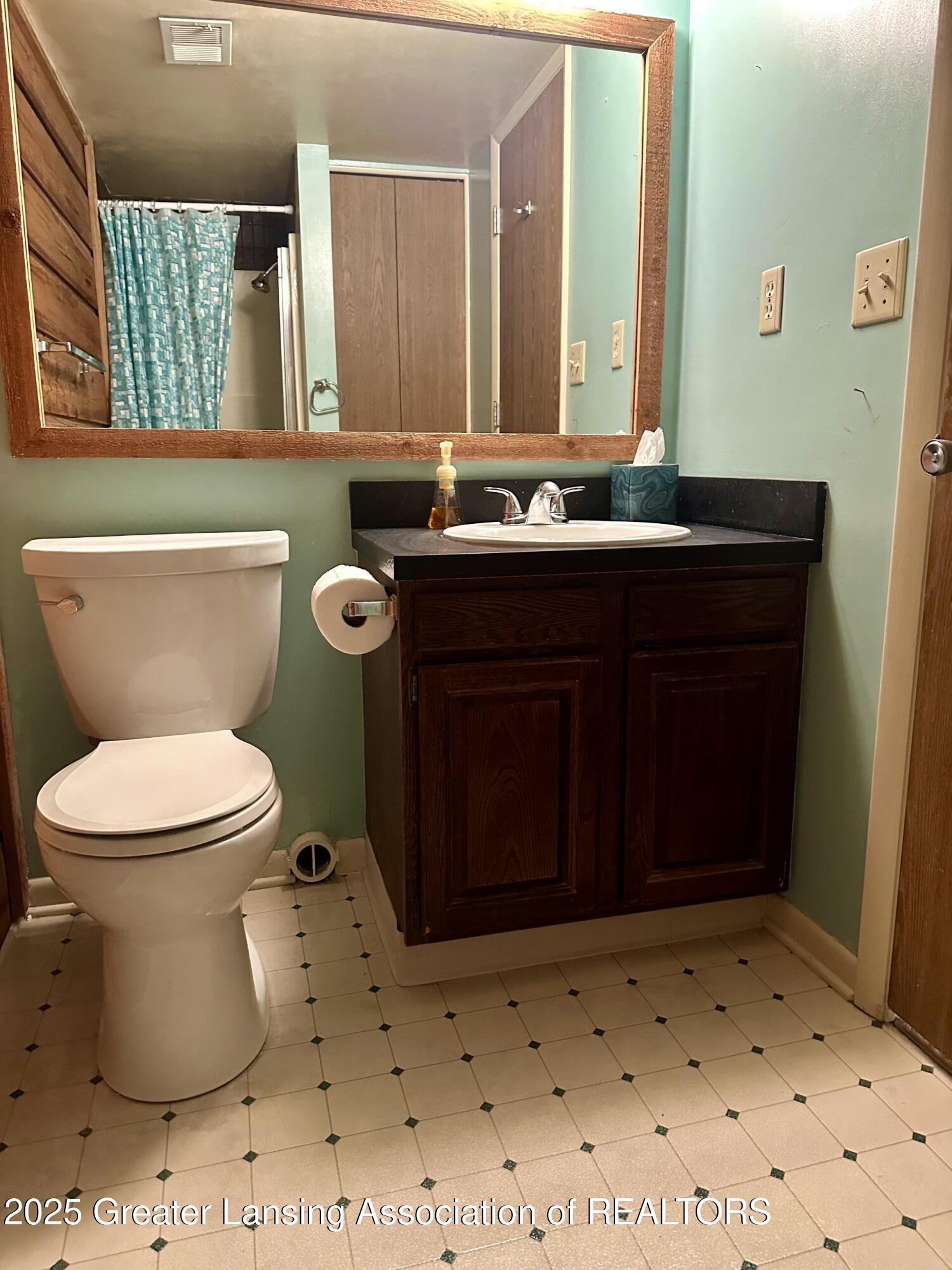 1206 Academic Way Haslett, MI 48840 - Photo 17 of 25 LL Bathroom