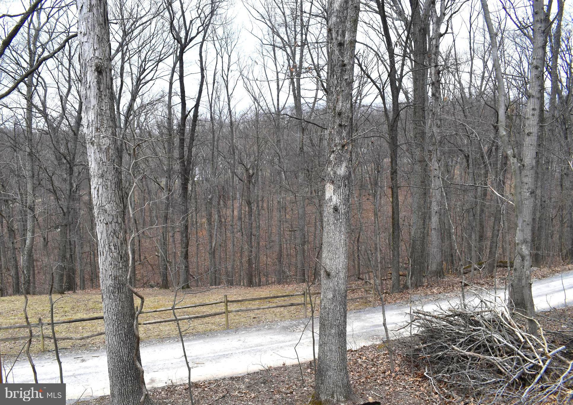 314 Gray Squirrel Road Harpers Ferry, WV 25425 - Photo 2 of 10 View from Family Room
