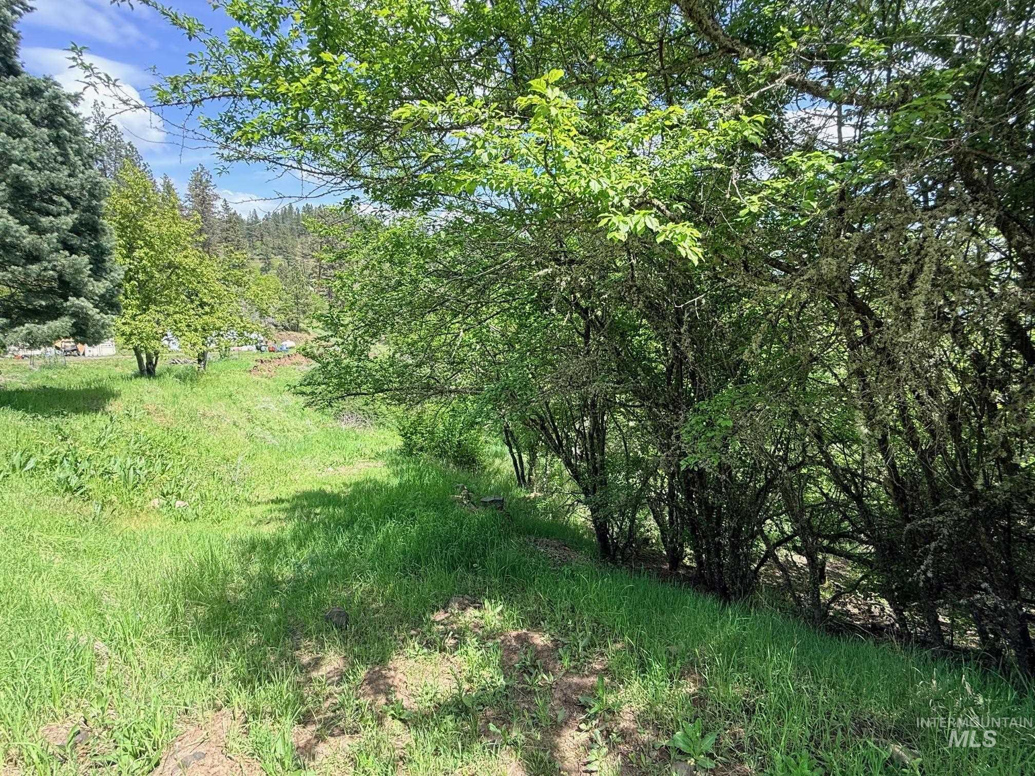 620 Old Peck Grade Lenore, ID 83541 - Photo 5 of 45