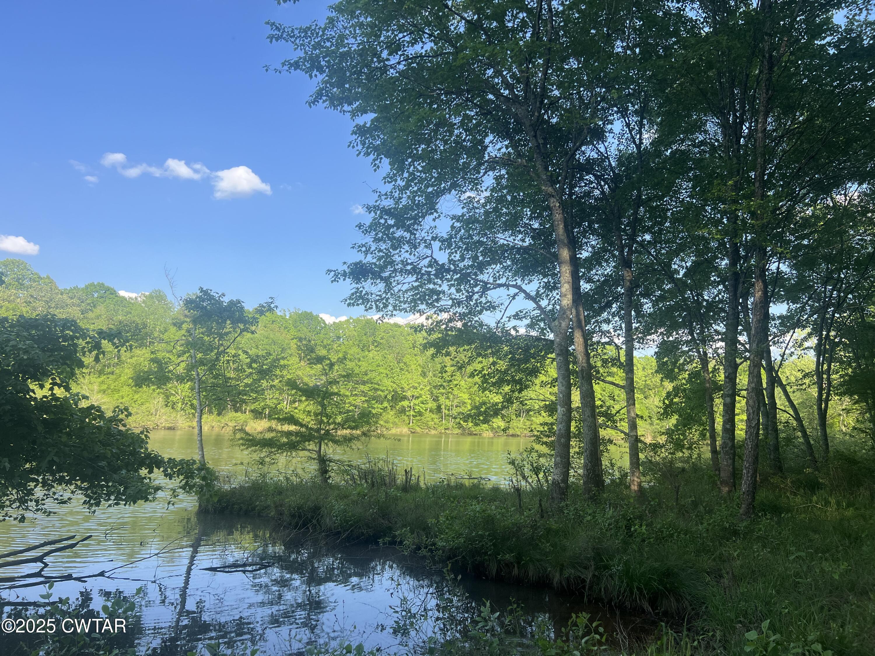 0 Excalibur Trail Cedar Grove, TN 38321 - Photo 4 of 10 IMG_7818