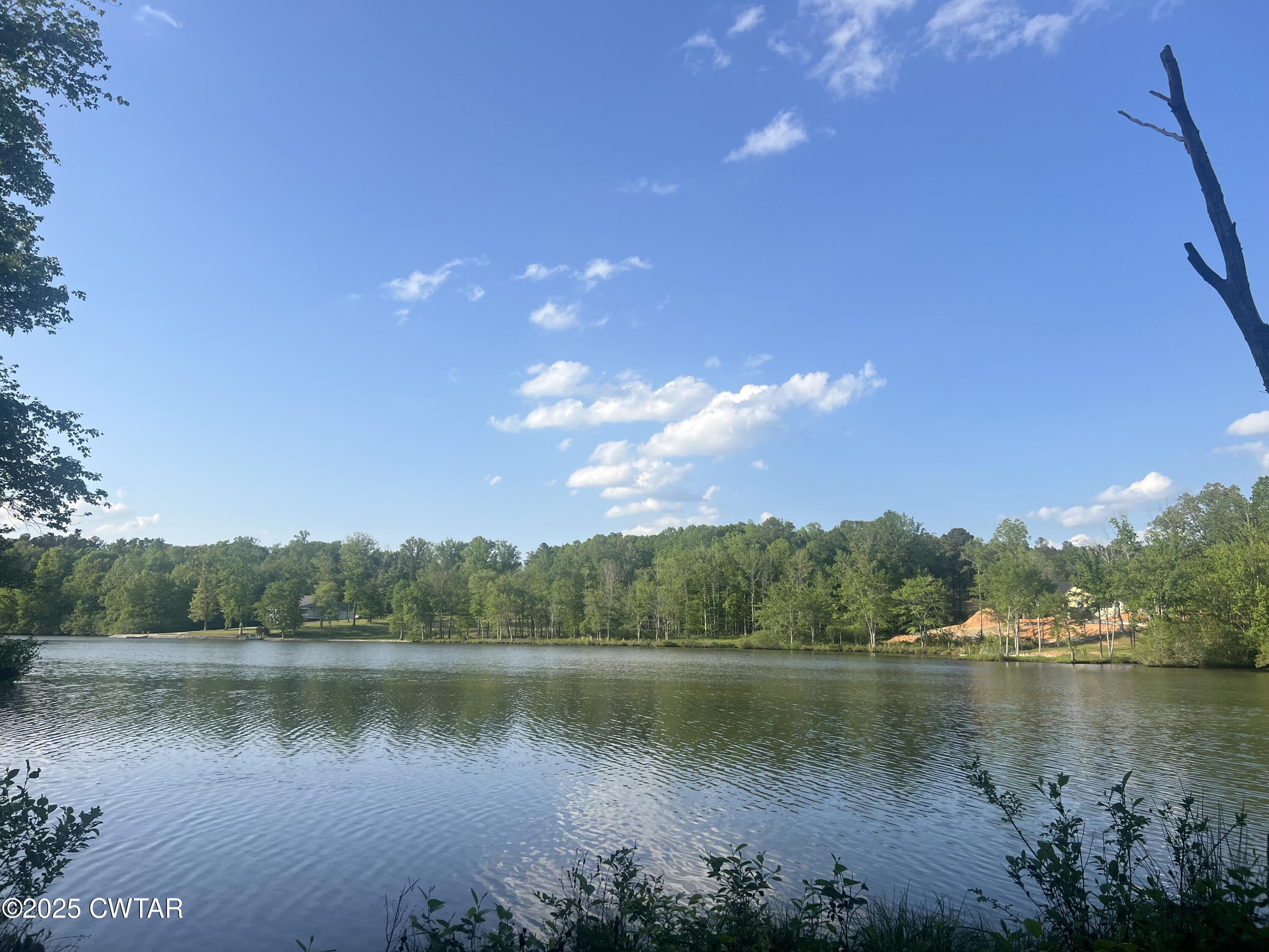 0 Excalibur Trail Cedar Grove, TN 38321 - Photo 5 of 10 IMG_7819