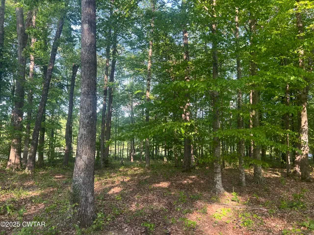 $115,000 | 0 Excalibur Trail, Cedar Grove, TN 38321