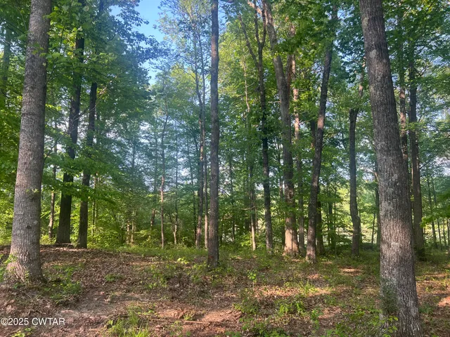 $115,000 | 0 Excalibur Trail, Cedar Grove, TN 38321