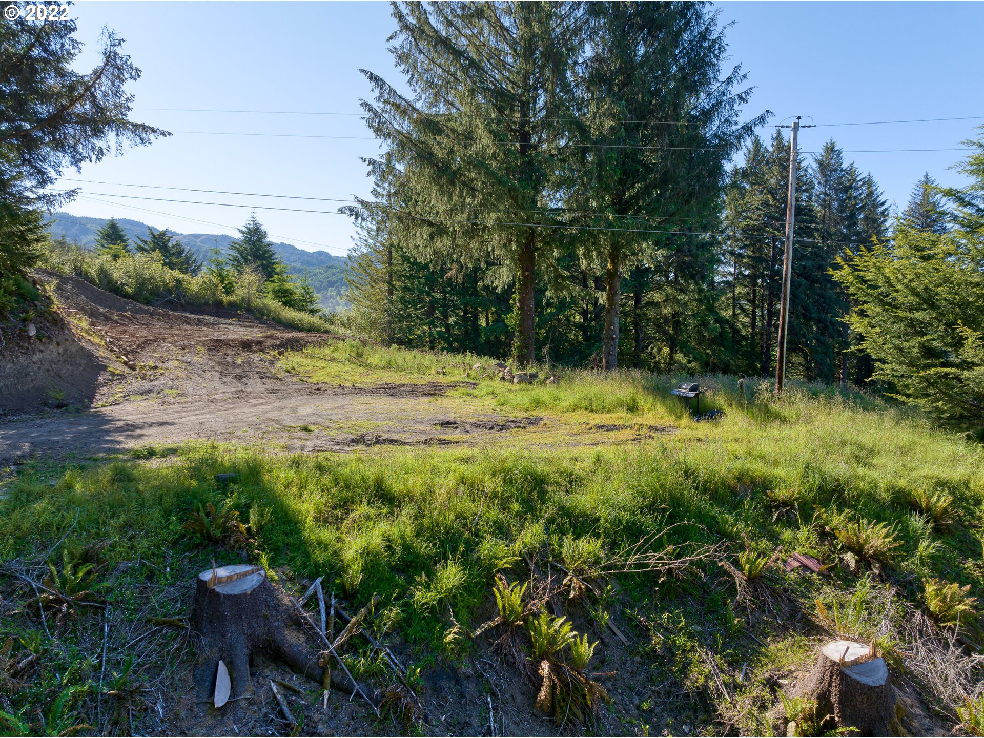 20352 Whaleshead Road Brookings, OR 97415 - Photo 10 of 20