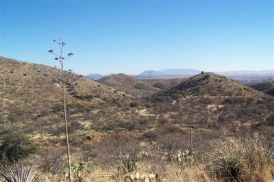 17500 East Hillton Ranch Road Vail, AZ 85641 - Photo 1 of 8