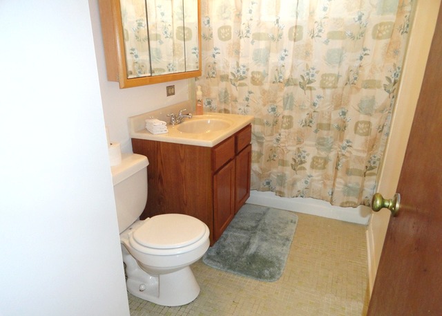6101 Birmingham Street Chicago Ridge, IL 60415 - Photo 7 of 14