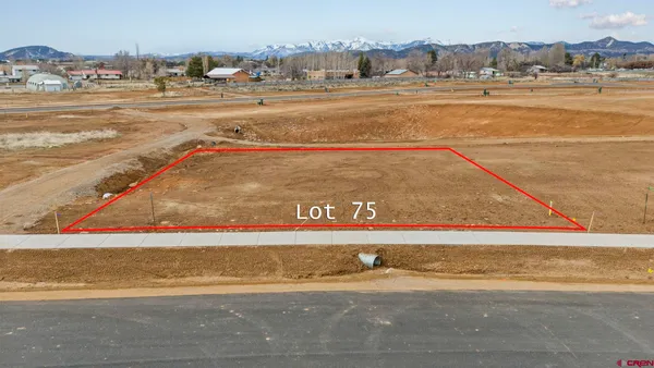 a view of an ocean and beach