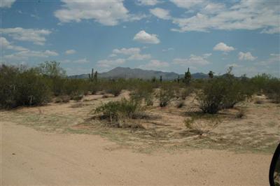 7341 North Sandario Road Tucson, AZ 85743 - Photo 8 of 8 Gallery Image 8