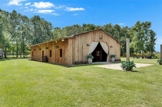a view of a yard with plants and trees