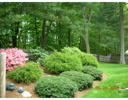 68 Clearwater Road Newton, MA 02462 - Photo 15 of 16 Gallery Image 15
