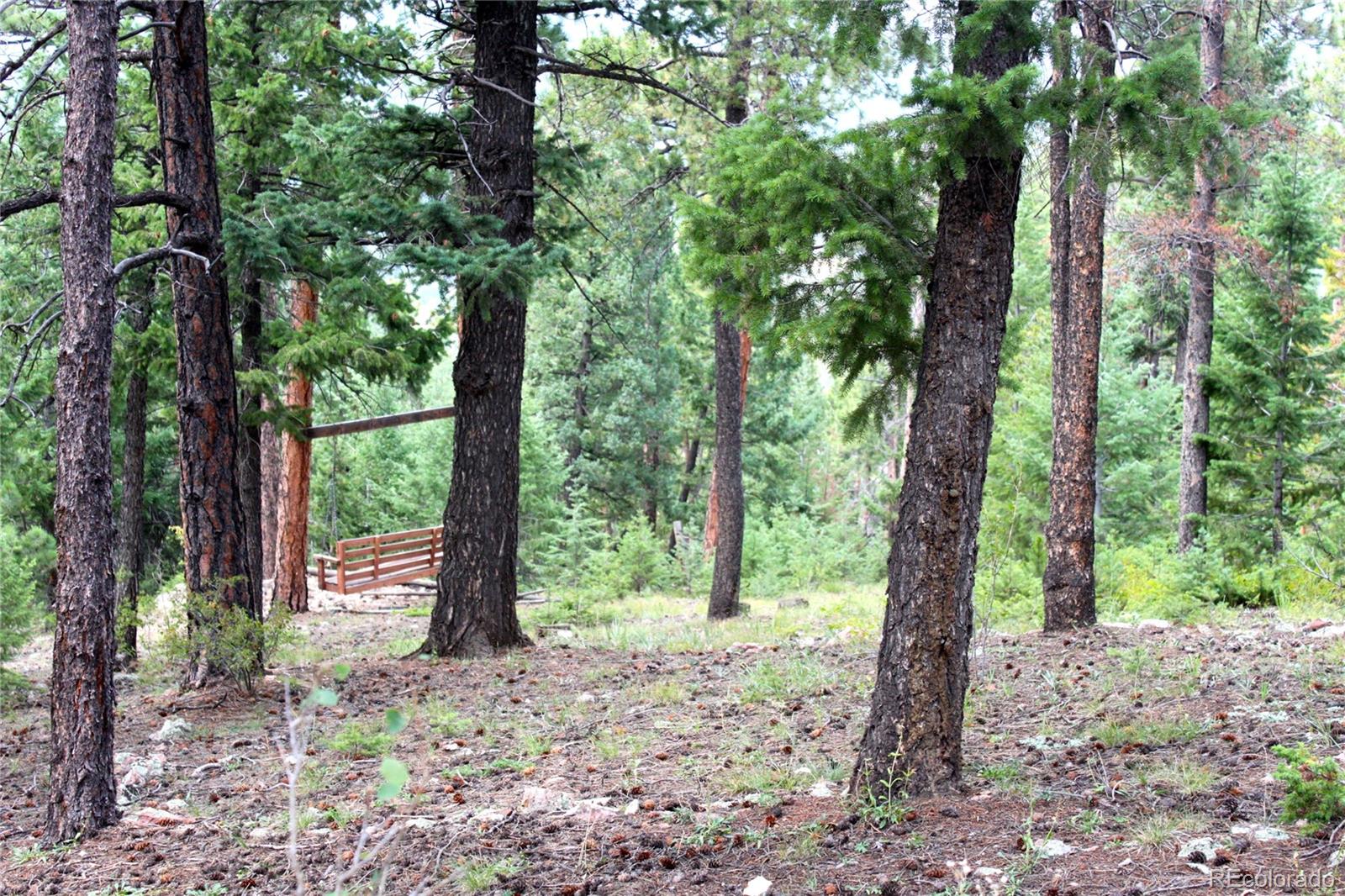 9398 Fallen Rock Road Conifer, CO 80433 - Photo 29 of 35 Gallery Image 29
