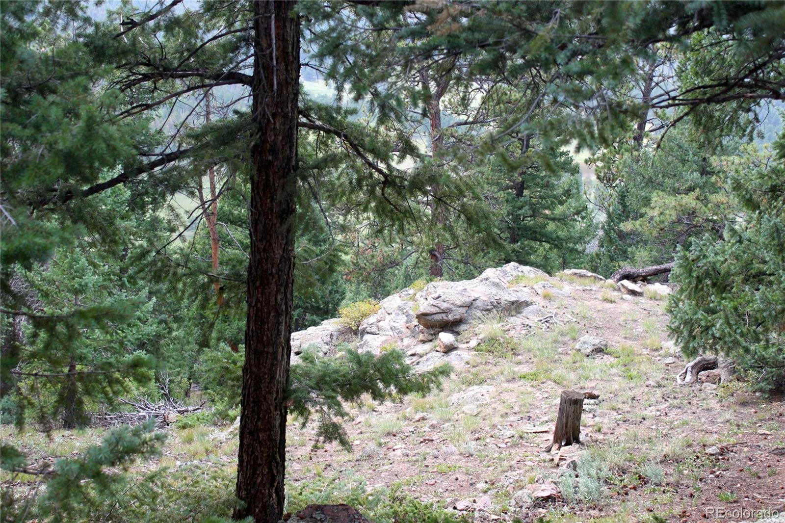 9398 Fallen Rock Road Conifer, CO 80433 - Photo 30 of 35 Gallery Image 30